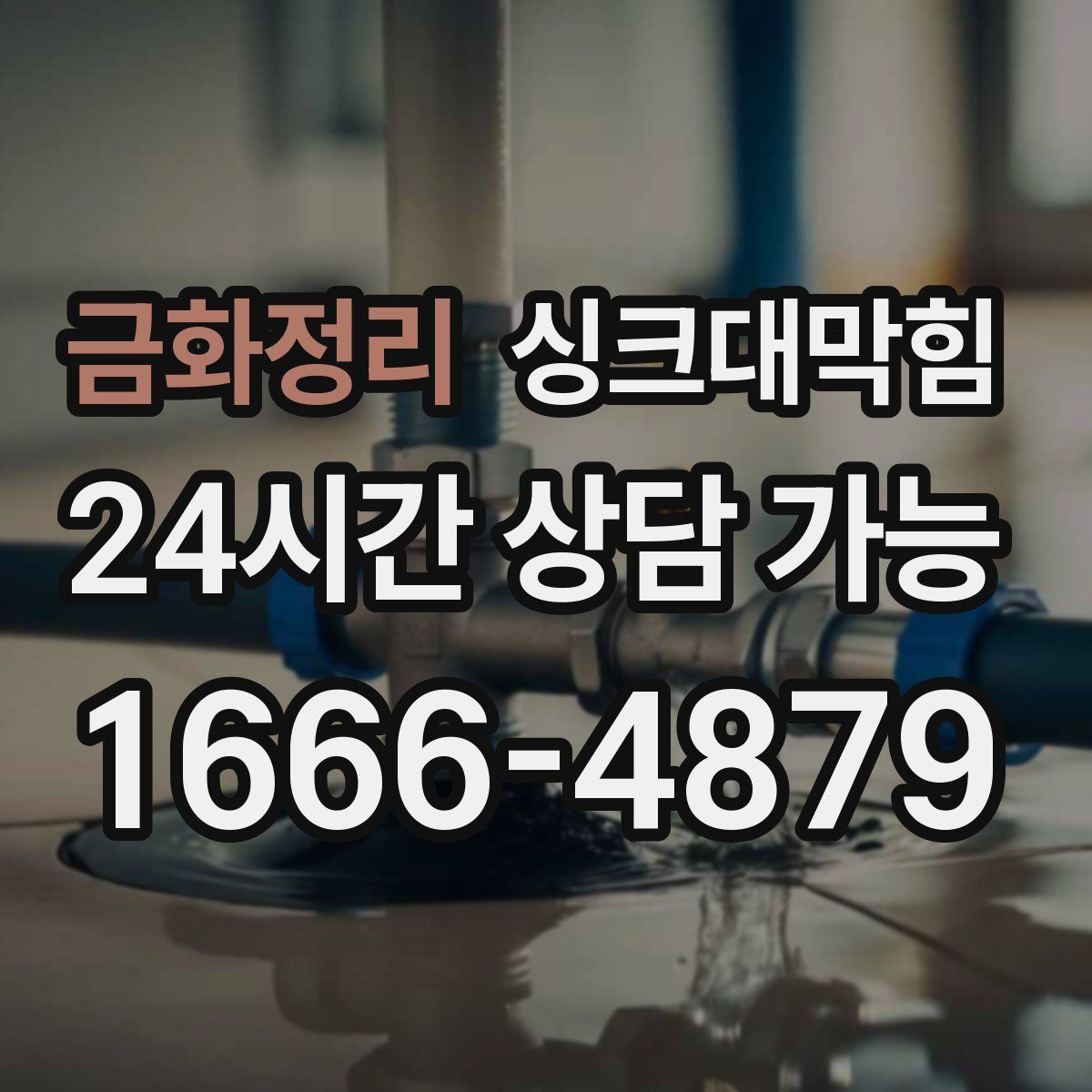 금화정리 싱크대막힘