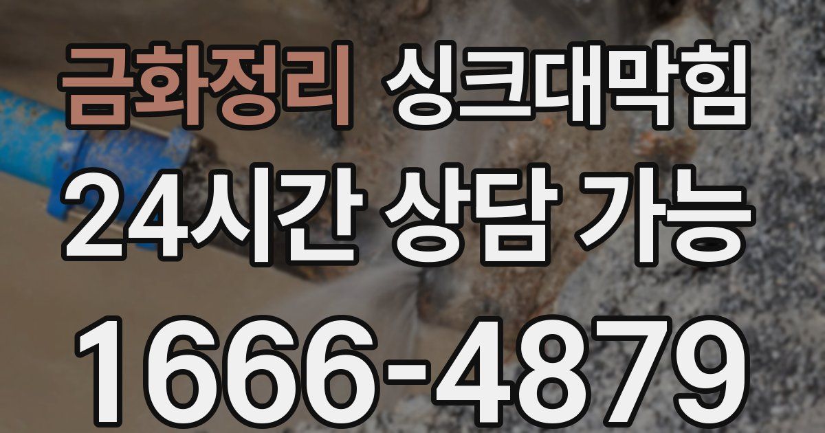 금화정리 싱크대 뚫기