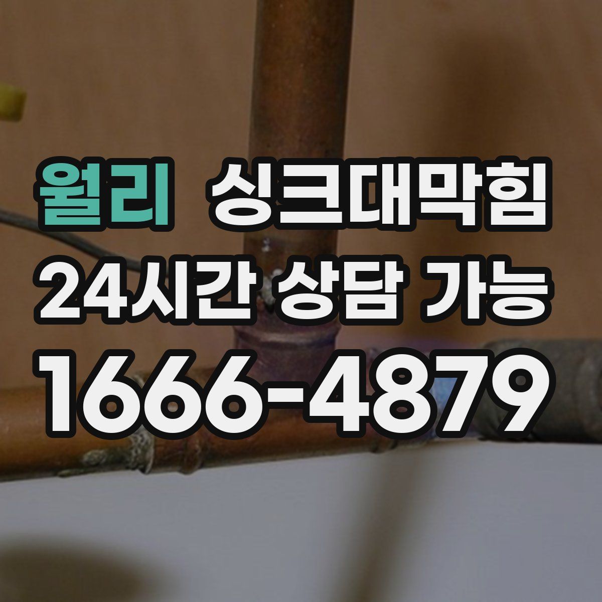 월리 싱크대막힘