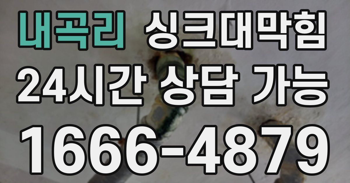 내곡리 싱크대 뚫기