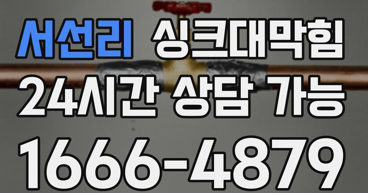 서선리 싱크대 뚫기