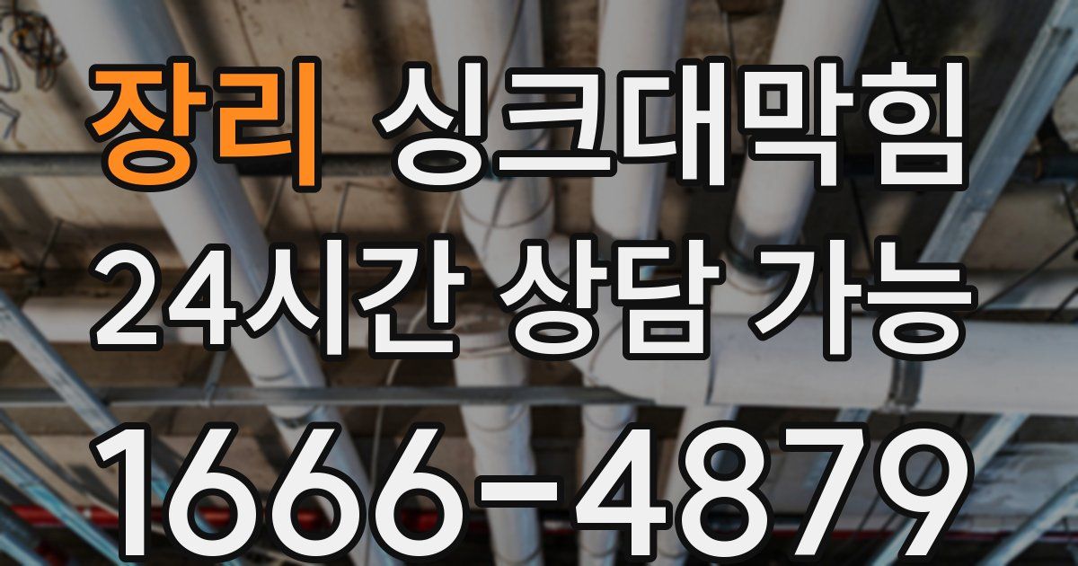 장리 싱크대 뚫기