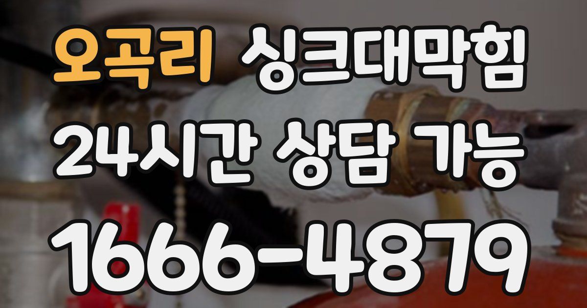 오곡리 싱크대 뚫기