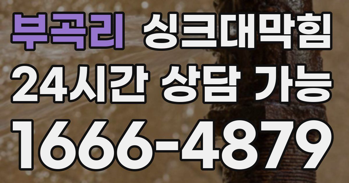 부곡리 싱크대 뚫기