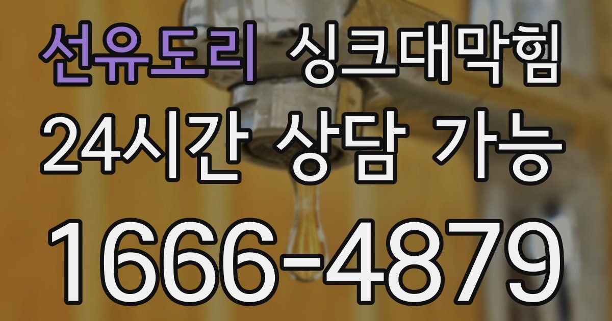 선유도리 싱크대 뚫기