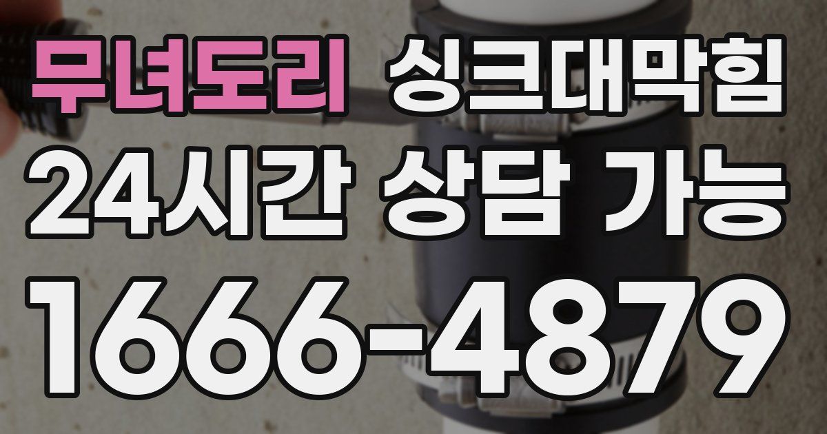 무녀도리 싱크대 뚫기