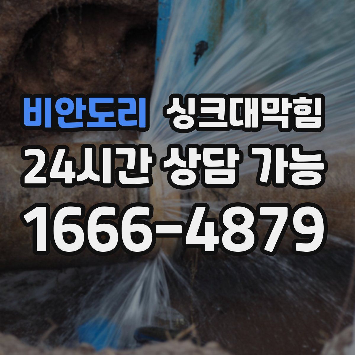 비안도리 싱크대막힘