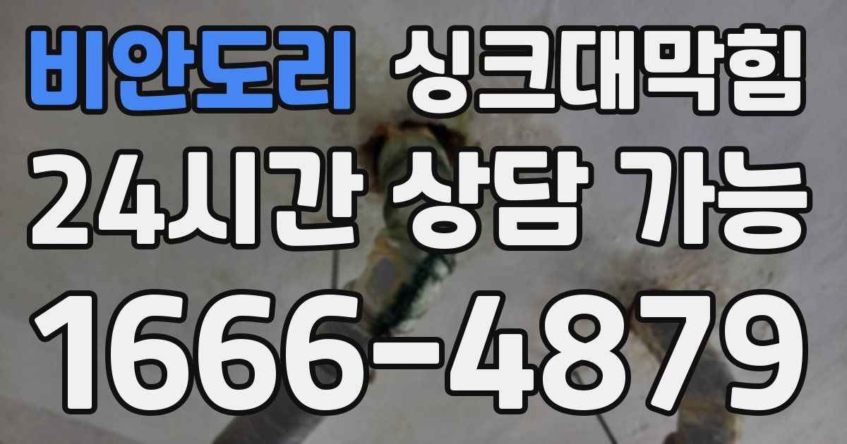 비안도리 싱크대 뚫기