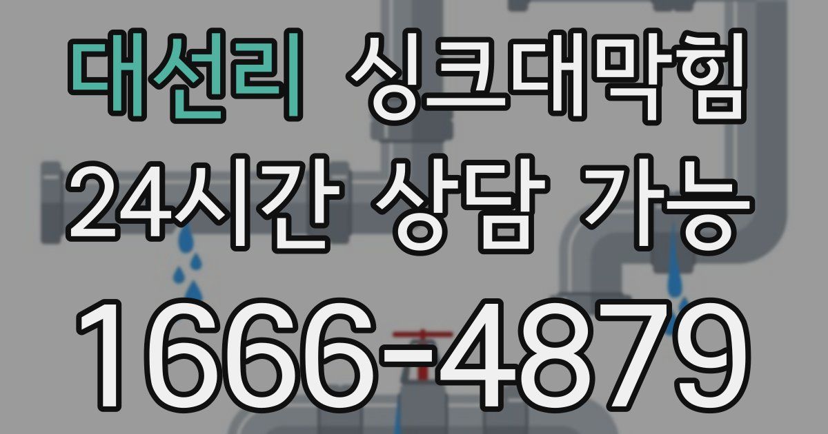 대선리 싱크대 뚫기
