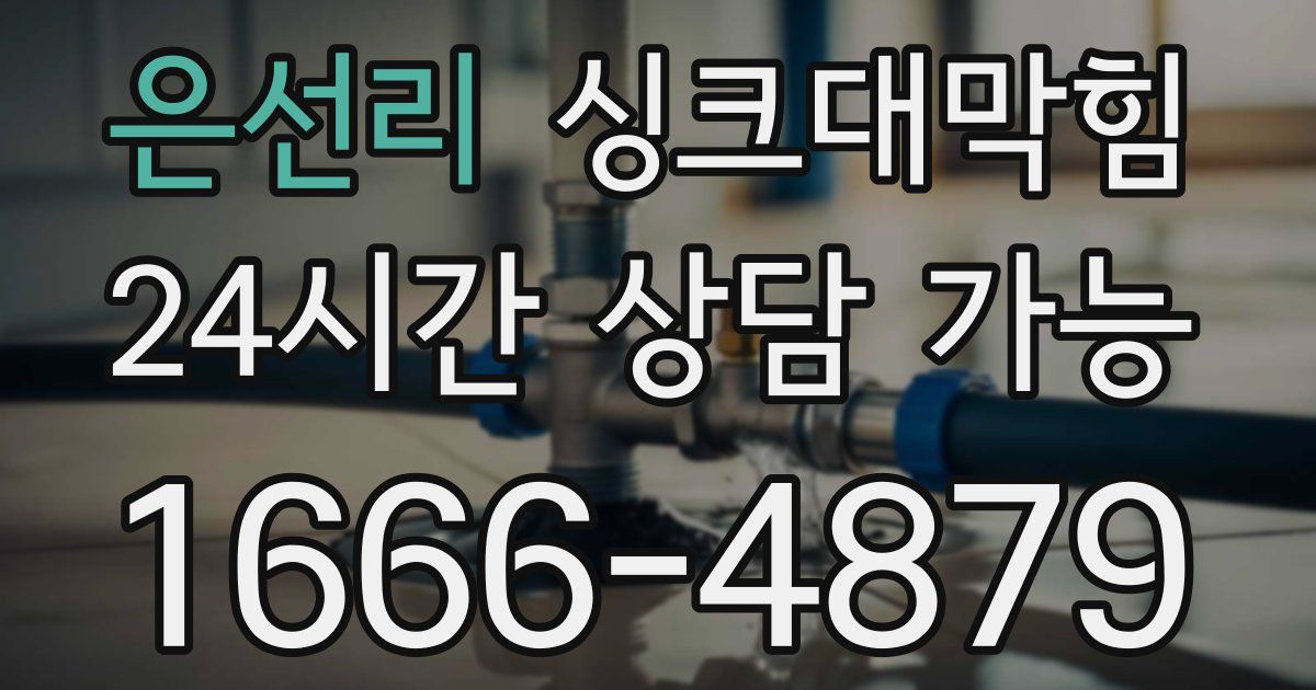 은선리 싱크대 뚫기