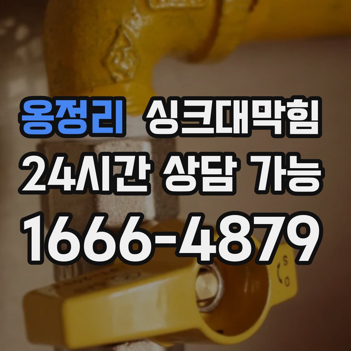 옹정리 싱크대막힘