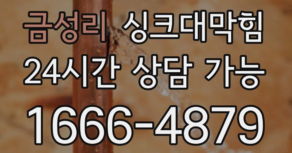 금성리 싱크대 뚫기