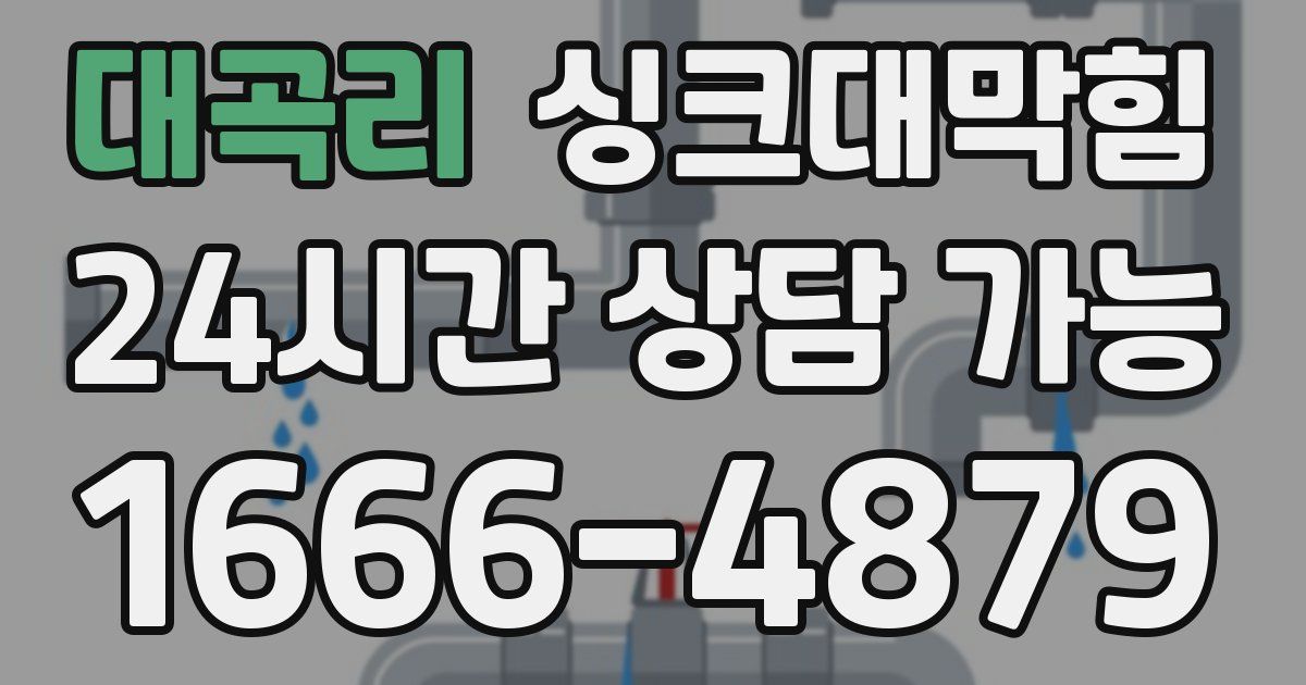 대곡리 싱크대 뚫기