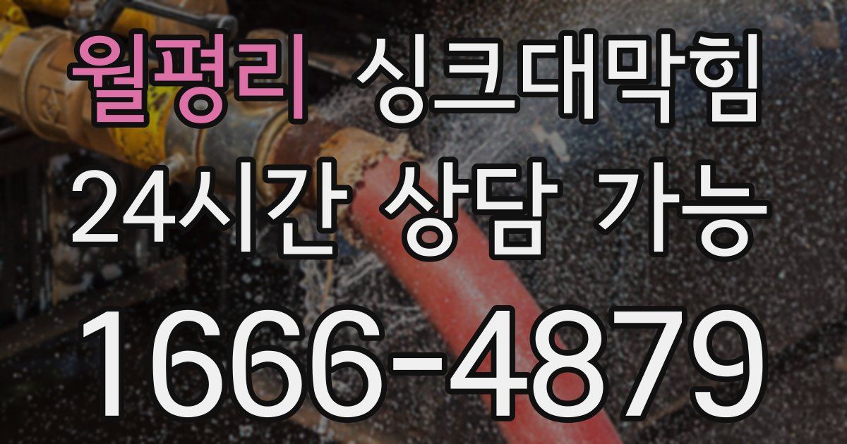 월평리 싱크대 뚫기