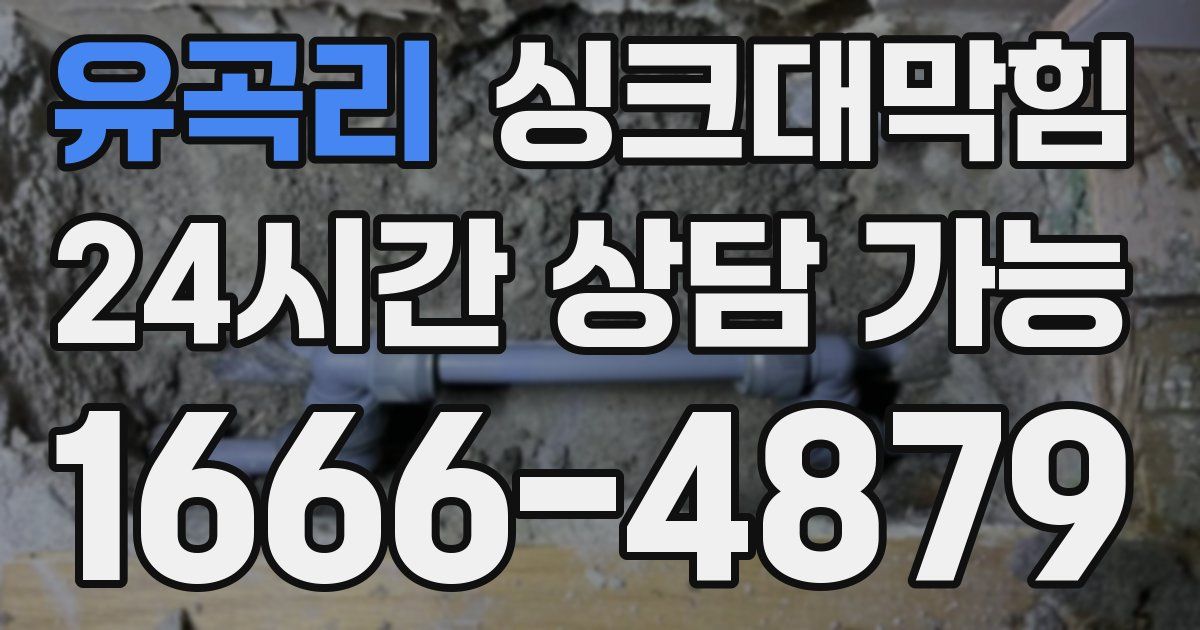 유곡리 싱크대 뚫기