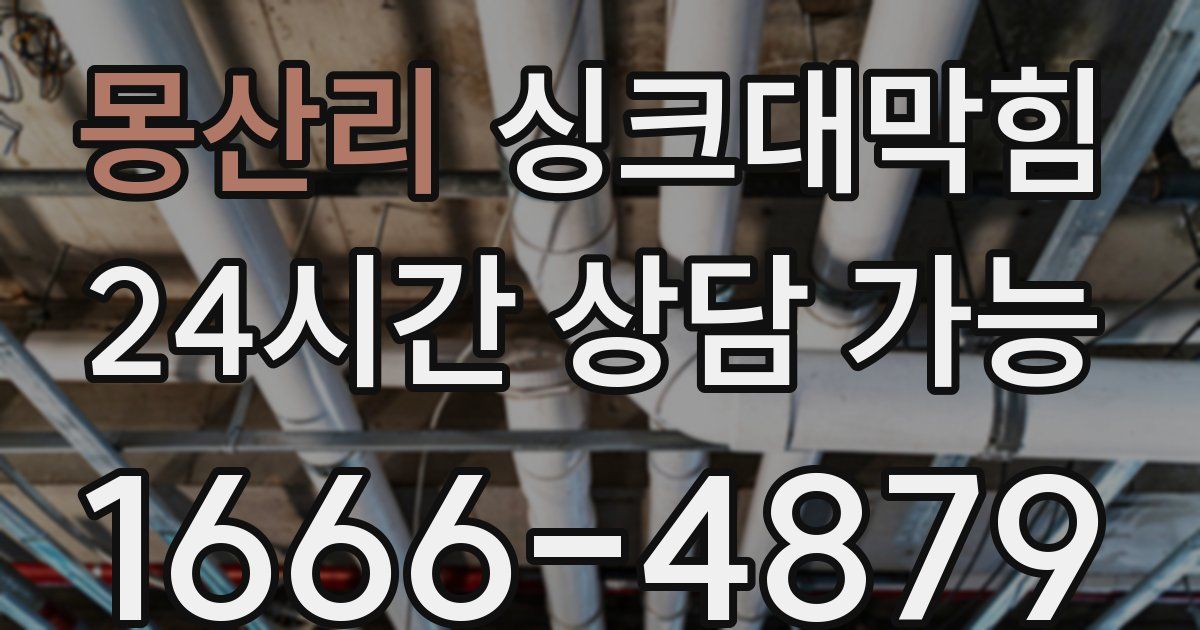 몽산리 싱크대 뚫기