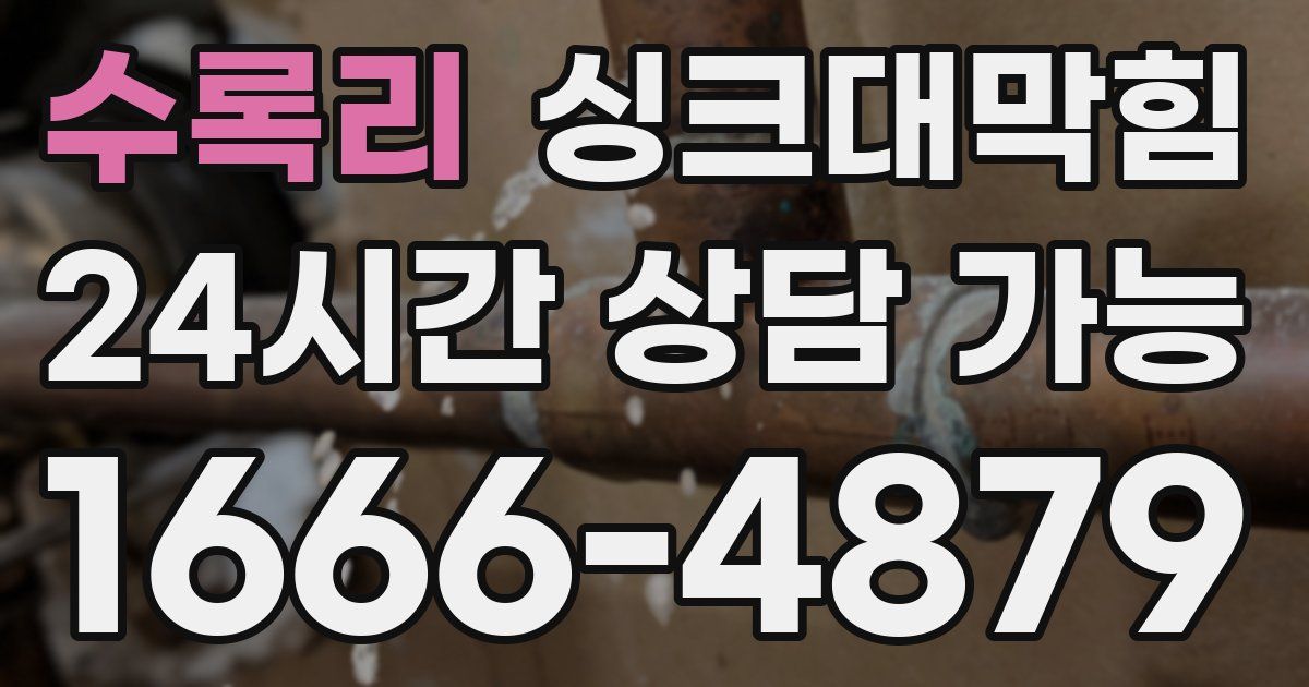 수록리 싱크대 뚫기
