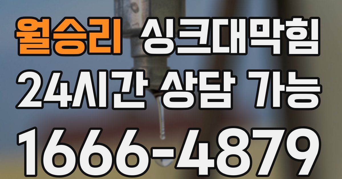 월승리 싱크대 뚫기