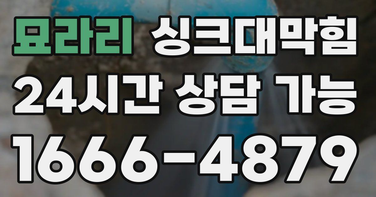 묘라리 싱크대 뚫기