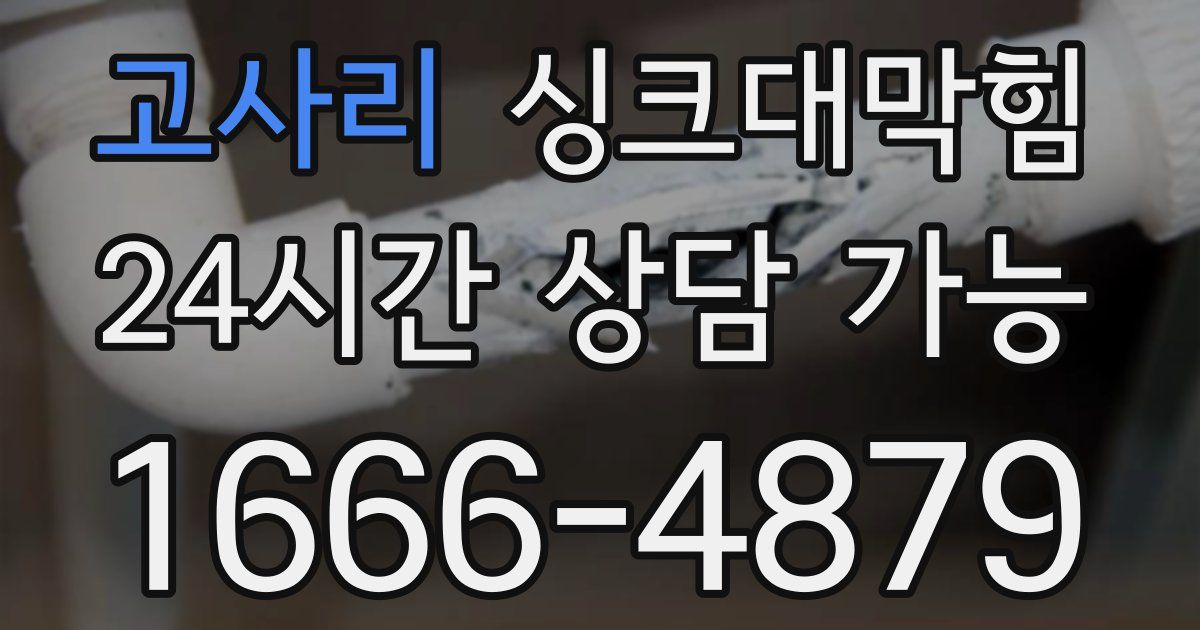 고사리 싱크대 뚫기