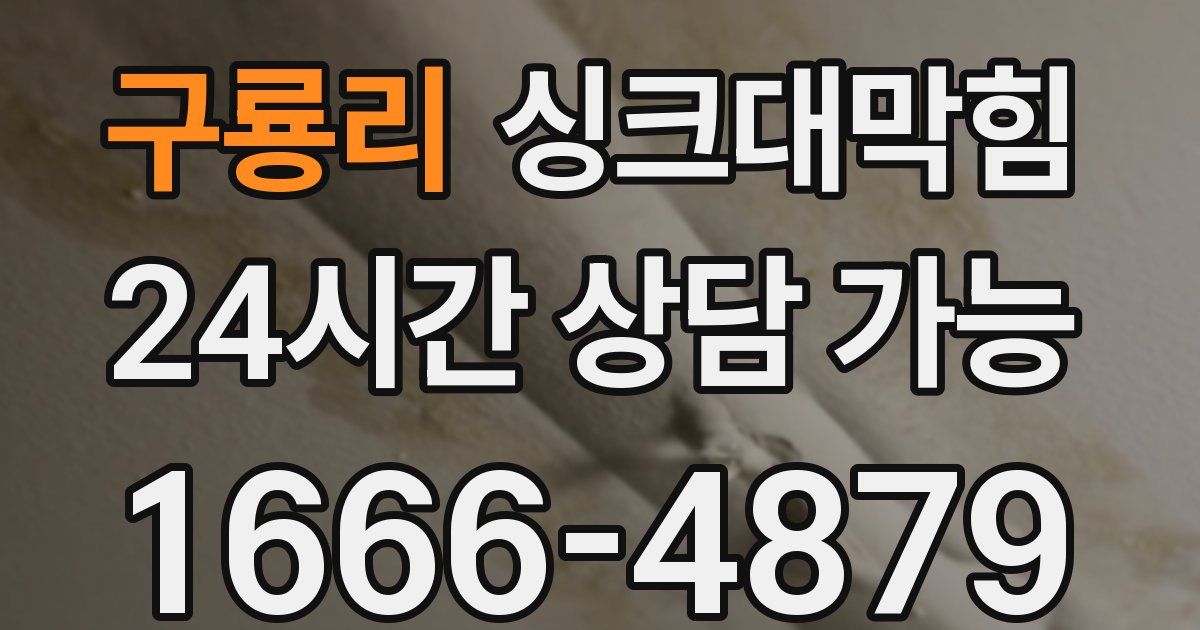 구룡리 싱크대 뚫기