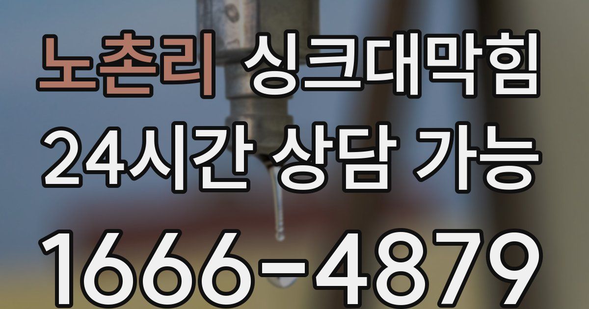 노촌리 싱크대 뚫기
