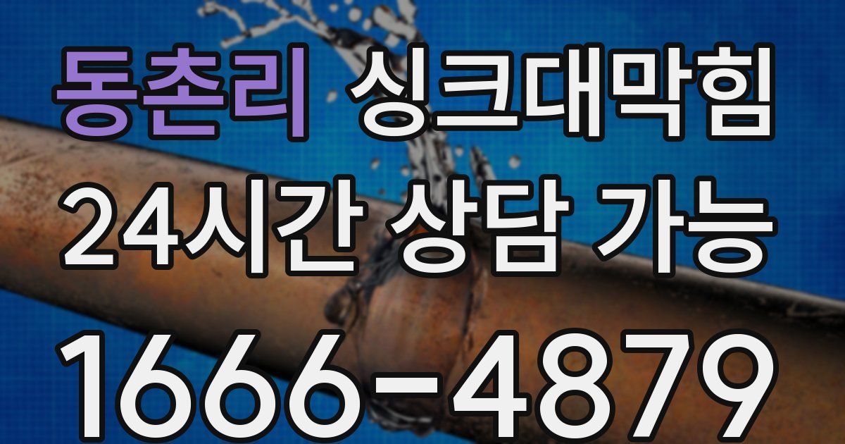 동촌리 싱크대 뚫기