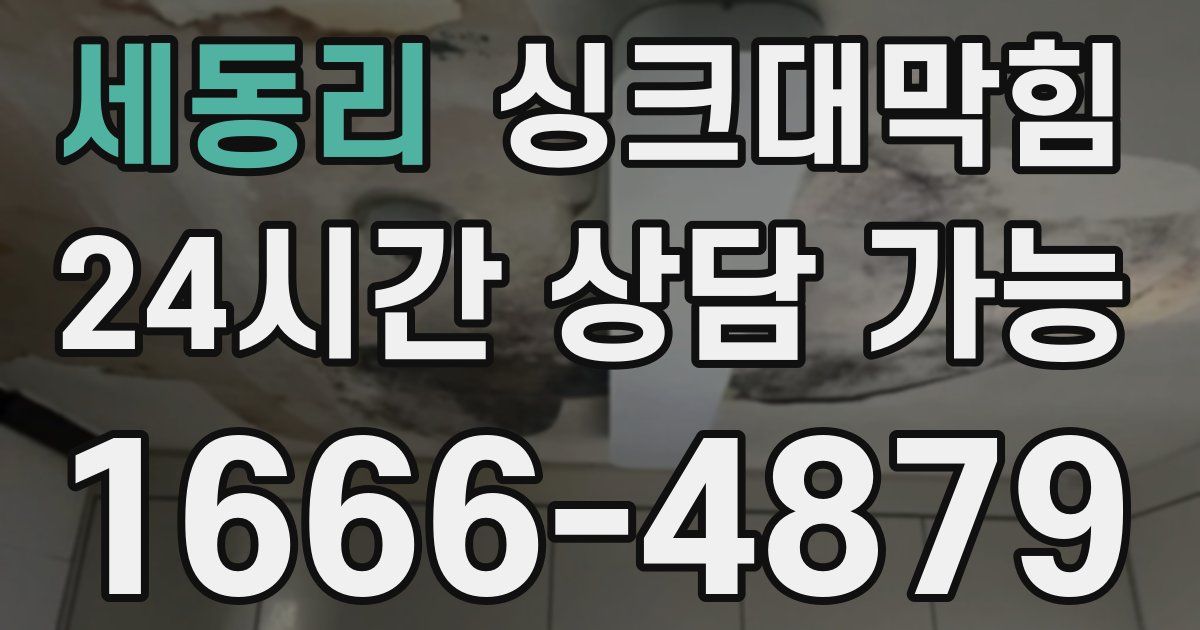 세동리 싱크대 뚫기