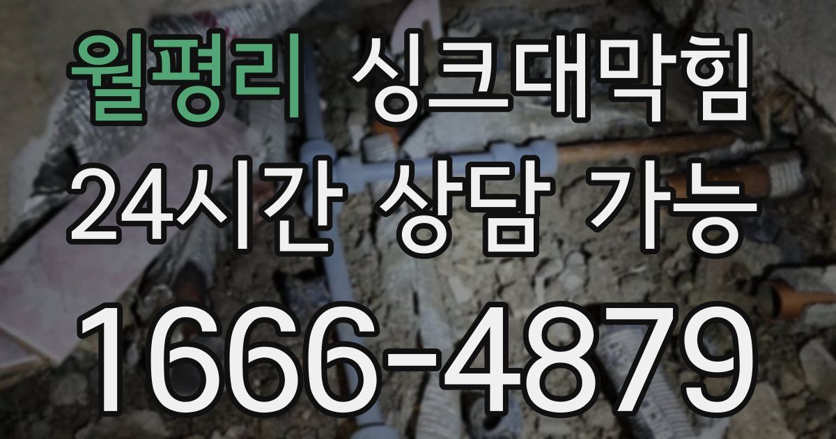 월평리 싱크대 뚫기