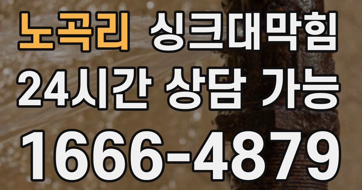 노곡리 싱크대 뚫기