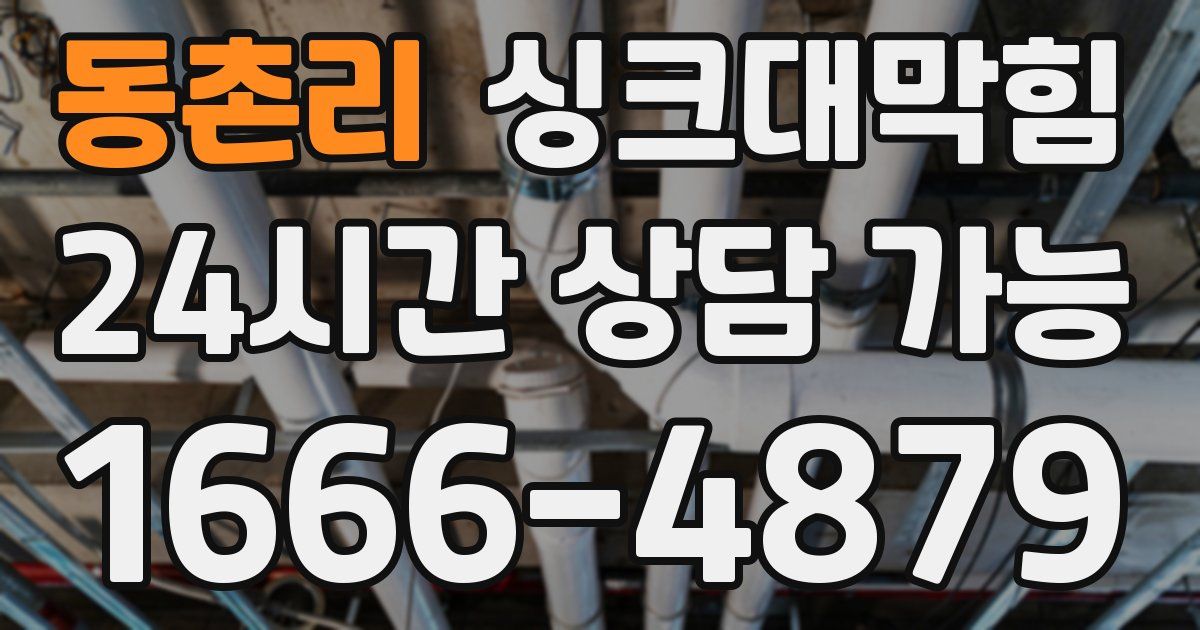 동촌리 싱크대 뚫기