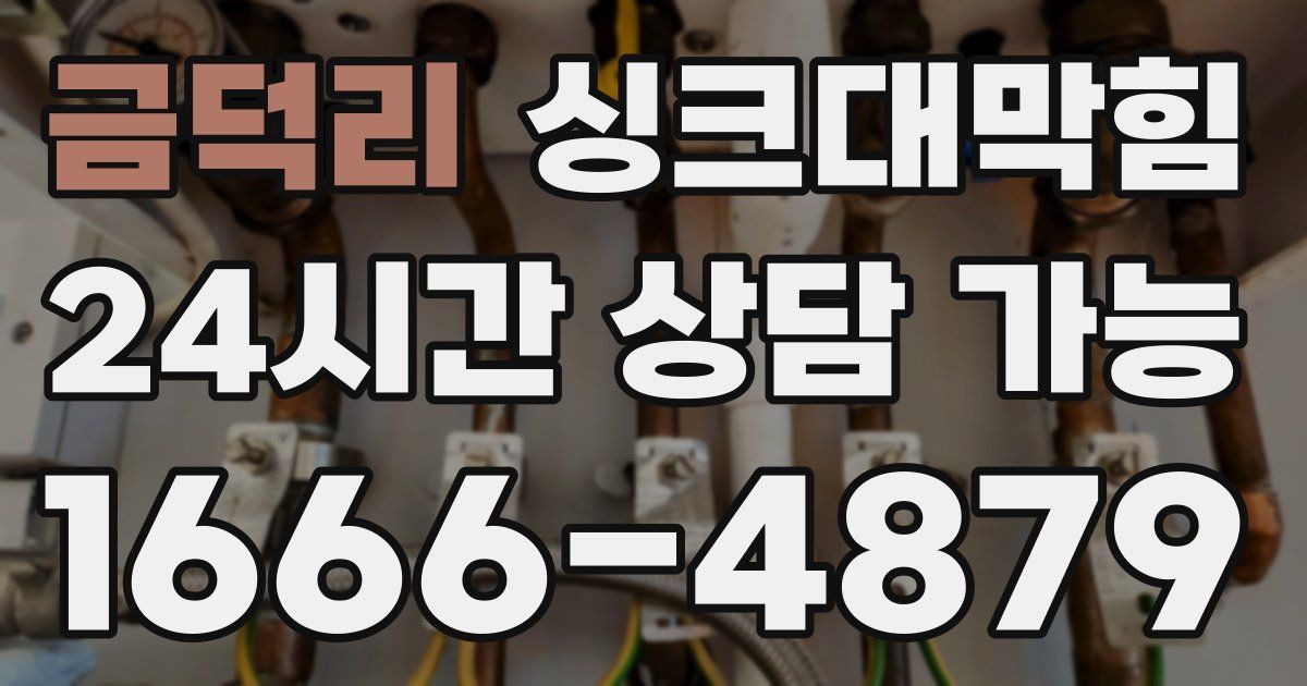 금덕리 싱크대 뚫기