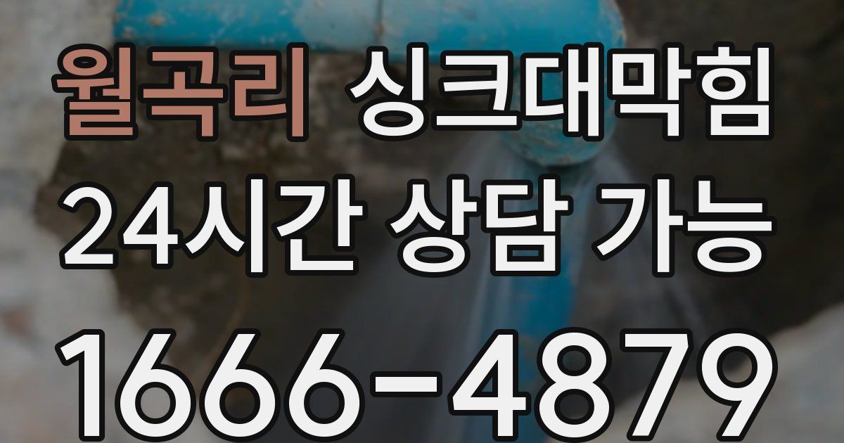 월곡리 싱크대 뚫기