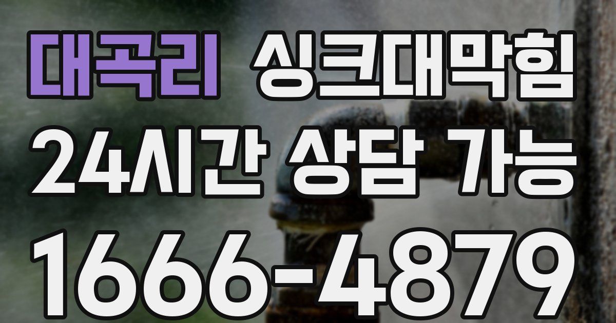 대곡리 싱크대 뚫기