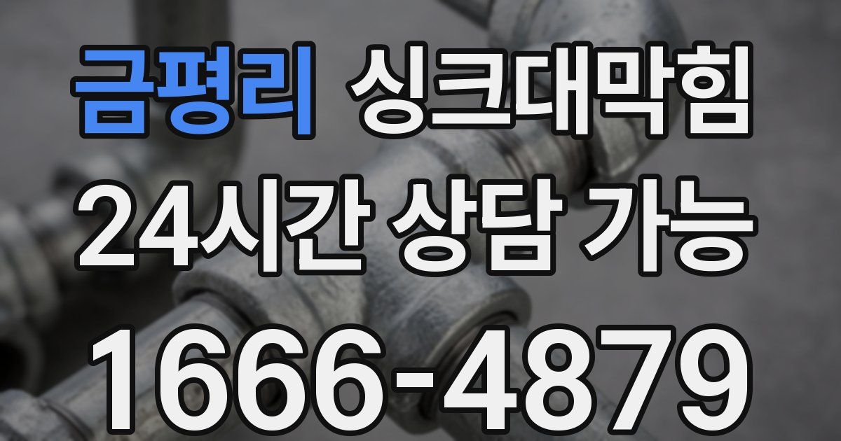 금평리 싱크대 뚫기