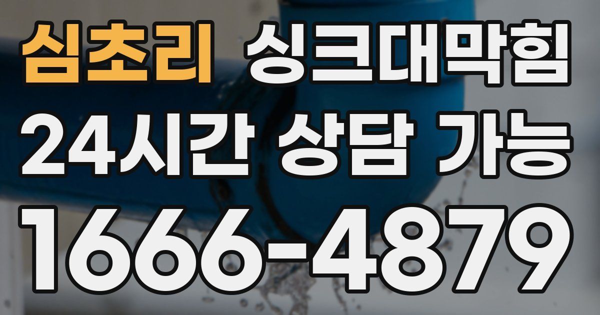 심초리 싱크대 뚫기
