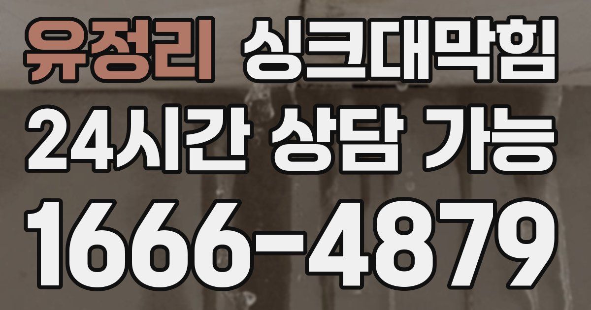 유정리 싱크대 뚫기