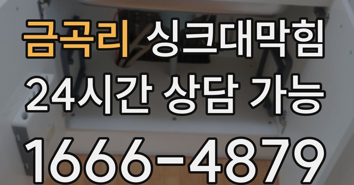 금곡리 싱크대 뚫기