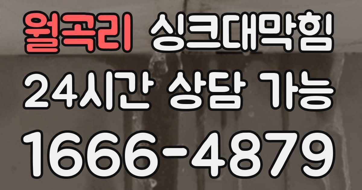 월곡리 싱크대 뚫기