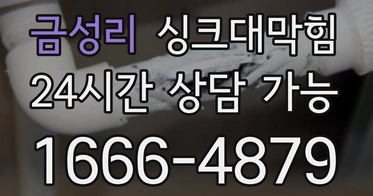 금성리 싱크대 뚫기