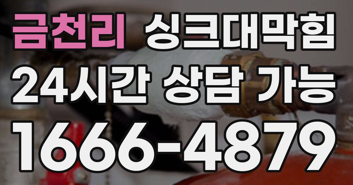 금천리 싱크대 뚫기