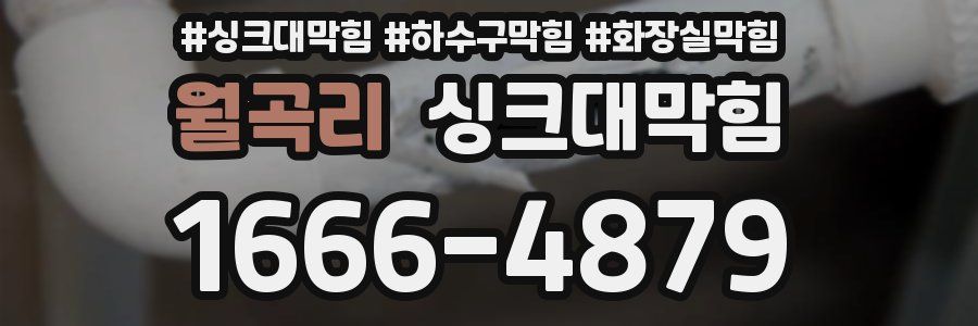 싱크대막힘