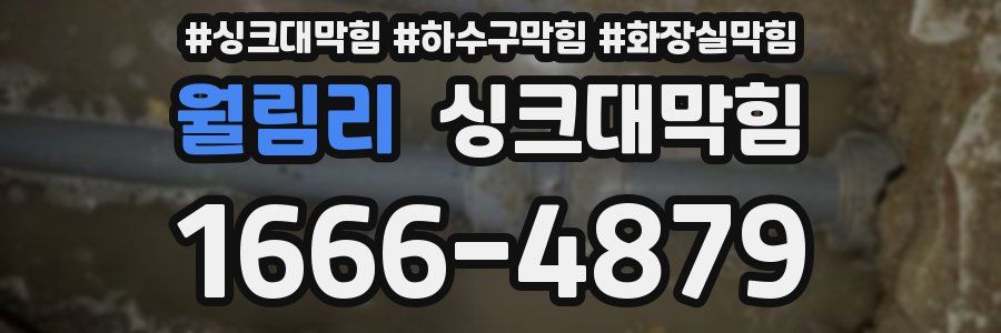 싱크대막힘