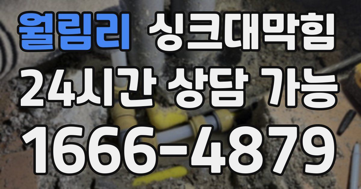 월림리 싱크대 뚫기