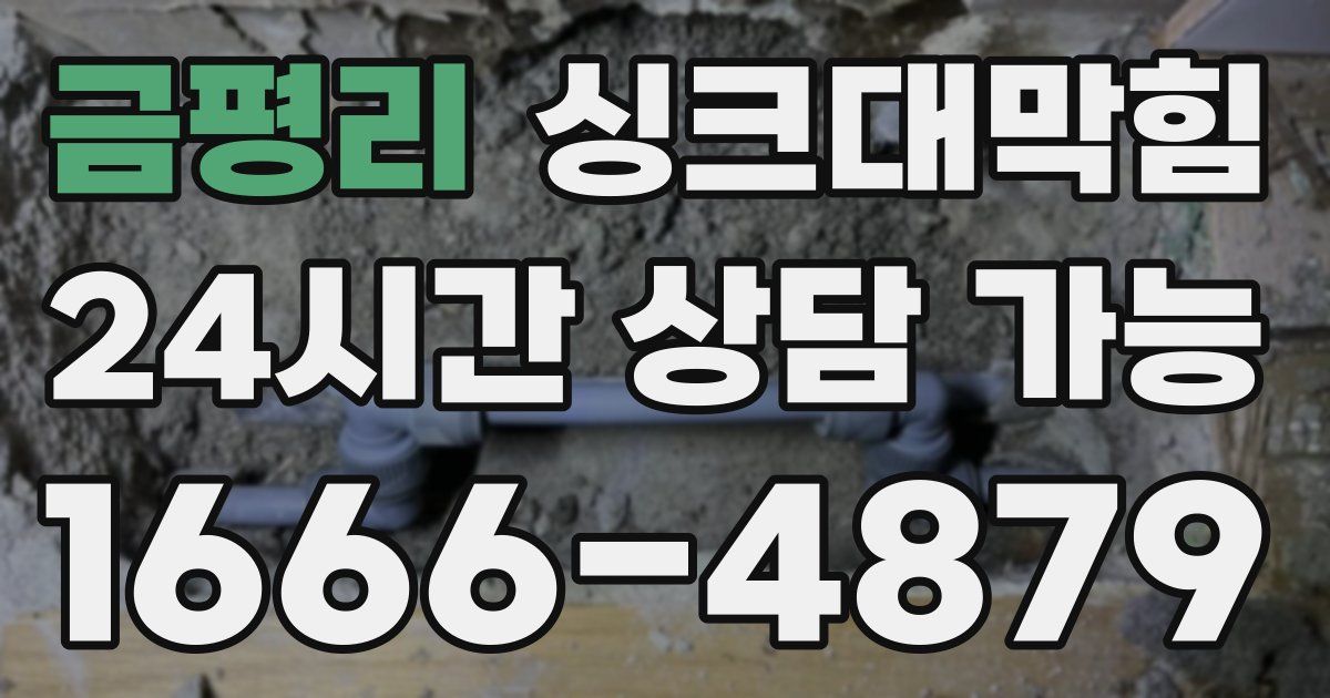 금평리 싱크대 뚫기