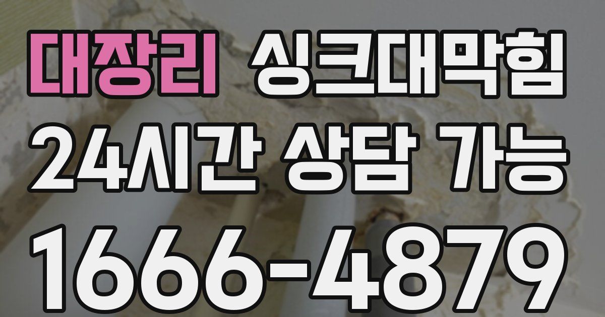 대장리 싱크대 뚫기