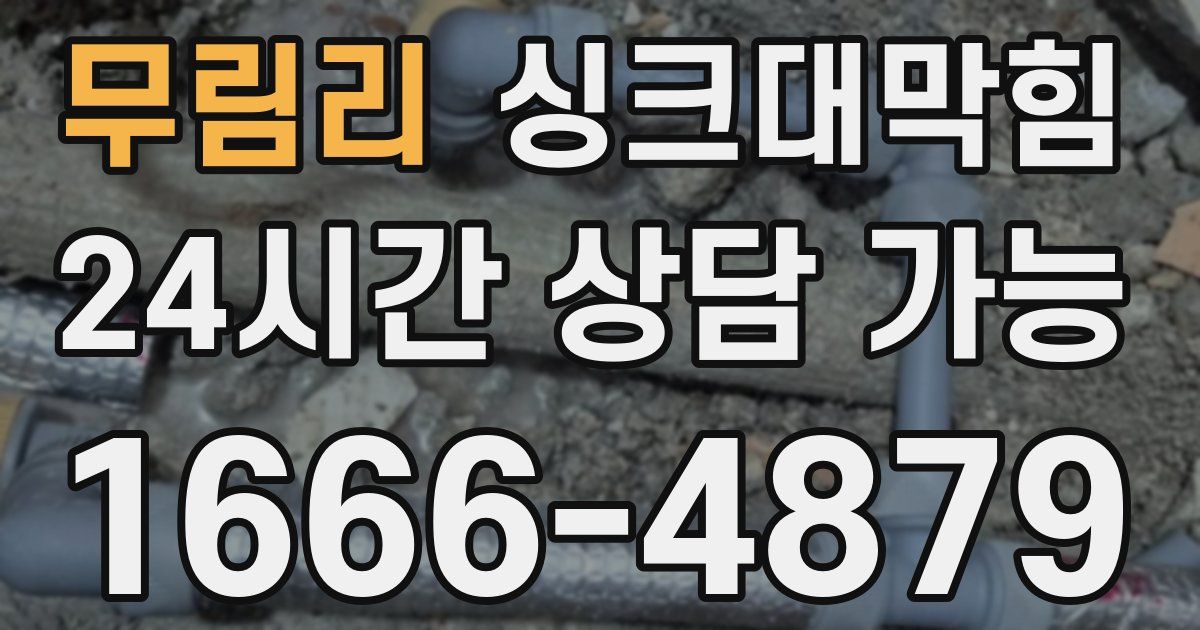 무림리 싱크대 뚫기