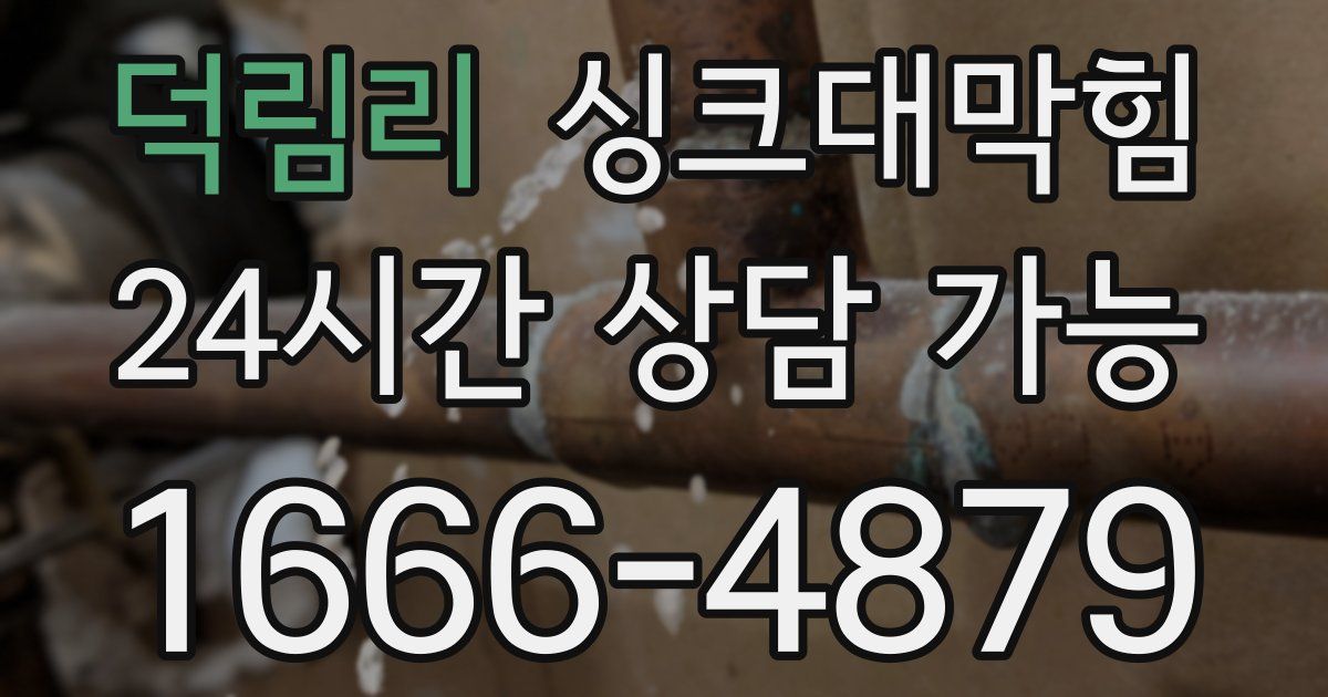 덕림리 싱크대 뚫기