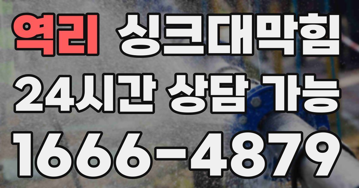 역리 싱크대 뚫기