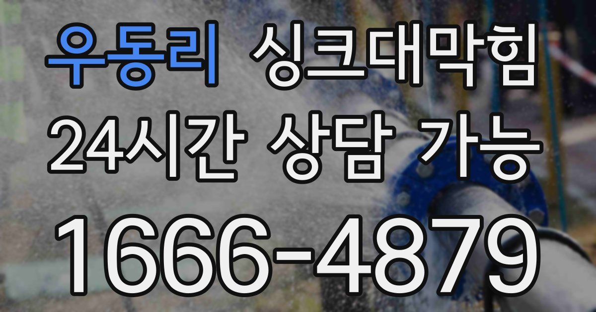 우동리 싱크대 뚫기